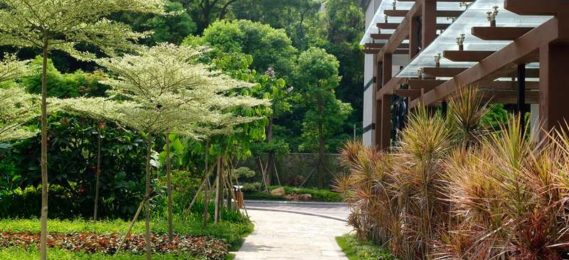 Landscape Design