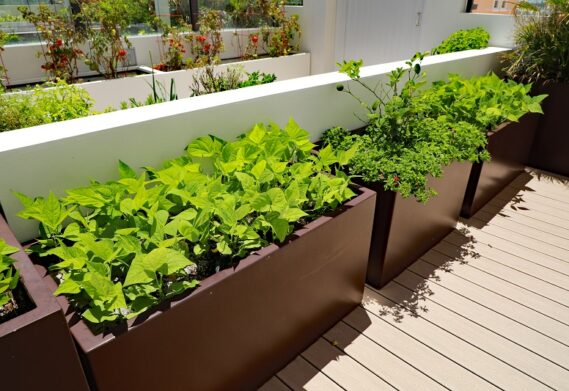 Fiberglass Planters